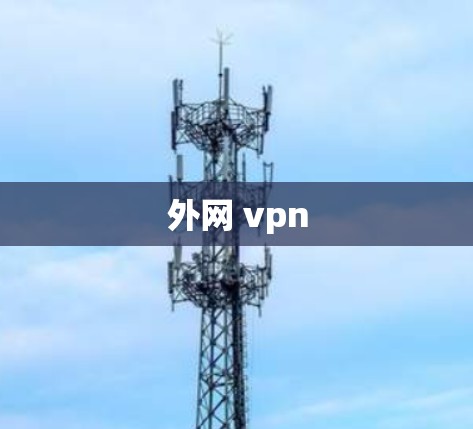 外网 vpn