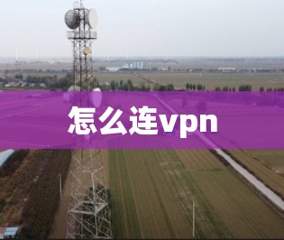 怎么连vpn